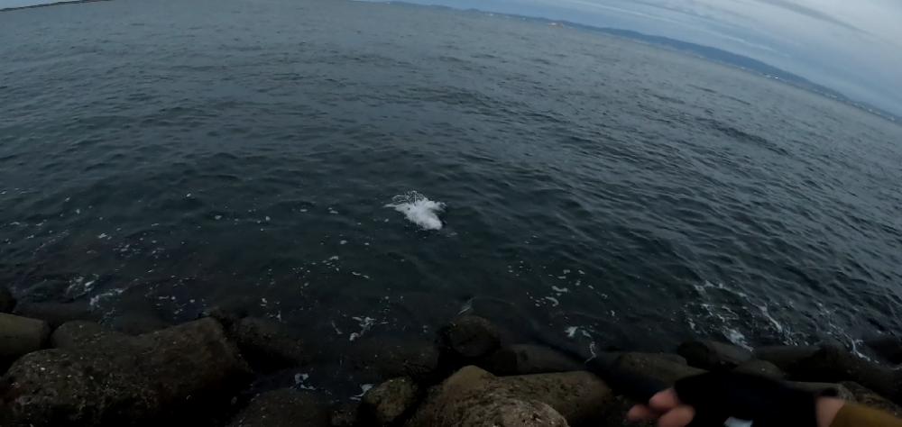 足ガクガク(。ŏ﹏ŏ)