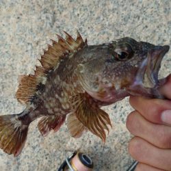 ライトロックゲーム