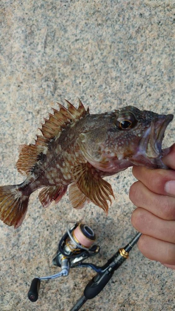 ライトロックゲーム