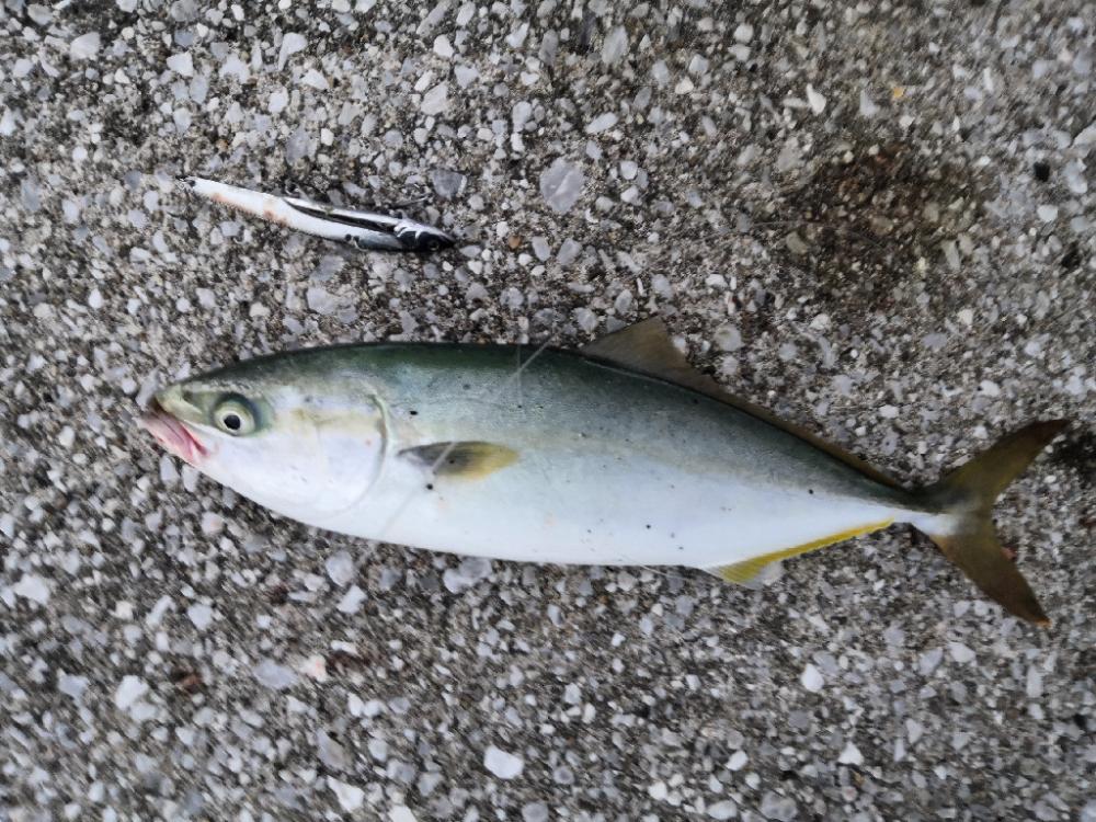 ショアジギングで小物