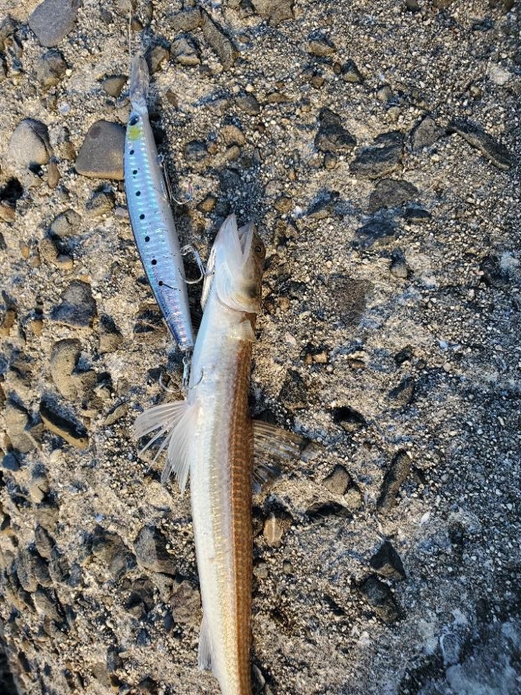 誘い方の問題？