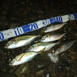 フロートゲーム