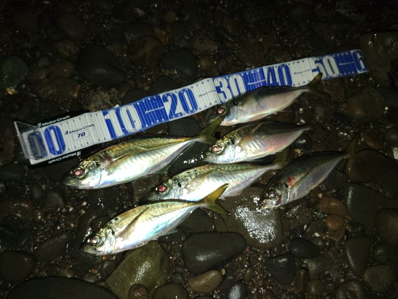 フロートゲーム