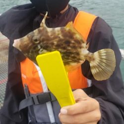 今日は渋かった