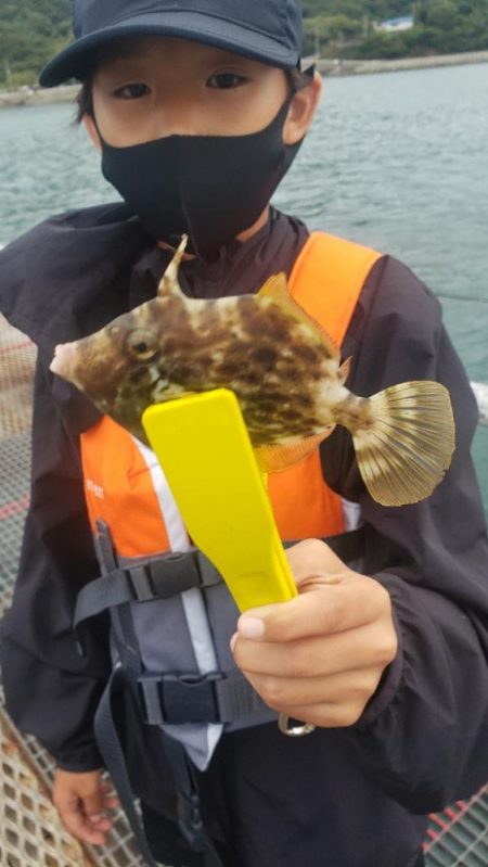 今日は渋かった