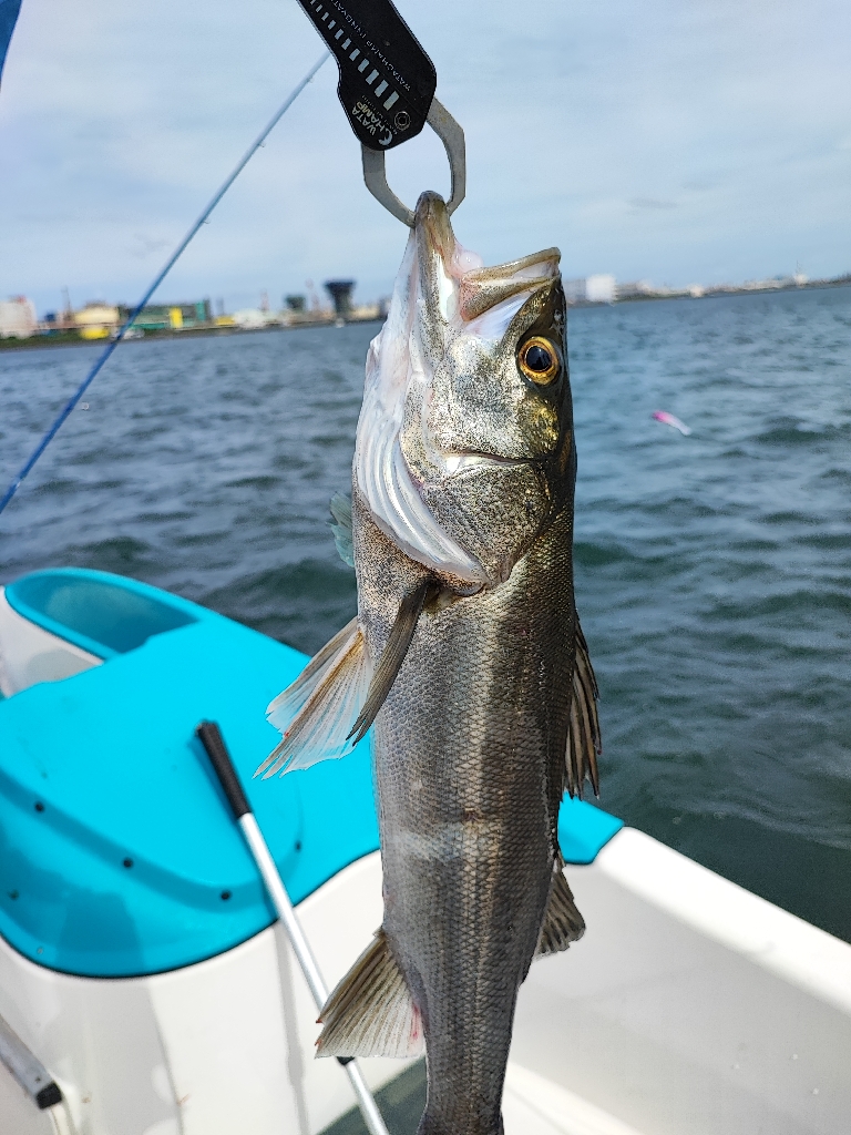 雨上がりの穴撃ちデイシーバス