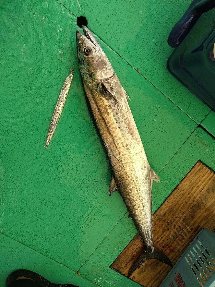 明石の青物ジギング