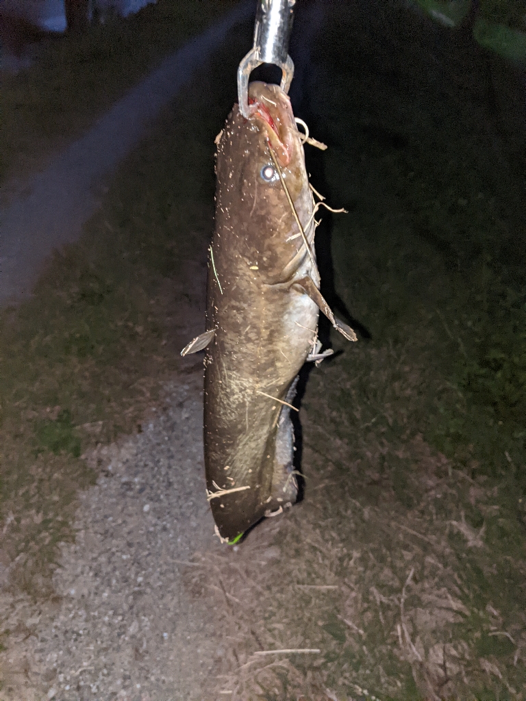 ポコポコ…バコ〜ン