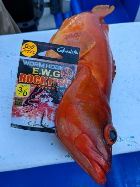 オフセットフックの可能性✨