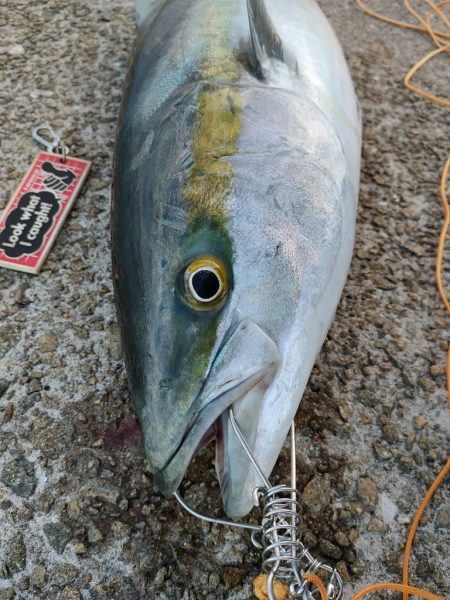 今シーズン2匹目サイズアップ