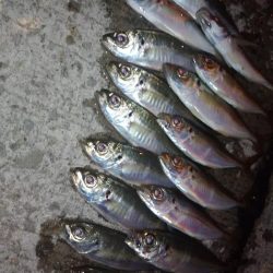 めっちゃ寒い🥶