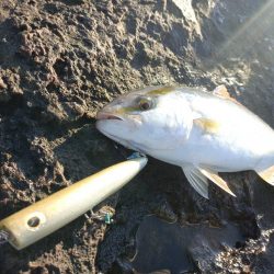 和歌山ロックショア