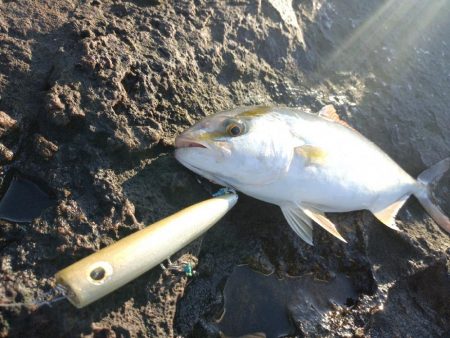 和歌山ロックショア