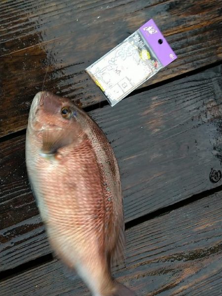 天候不良でも海上釣り堀へ☆