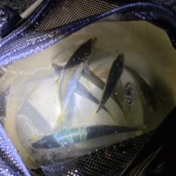 ランガンの末…