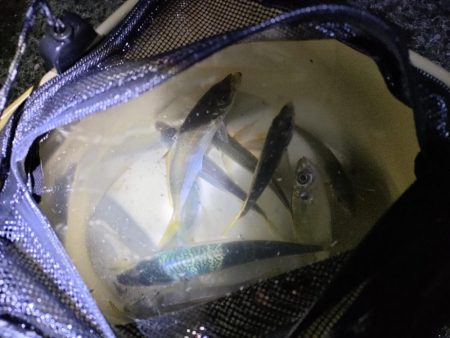 ランガンの末…