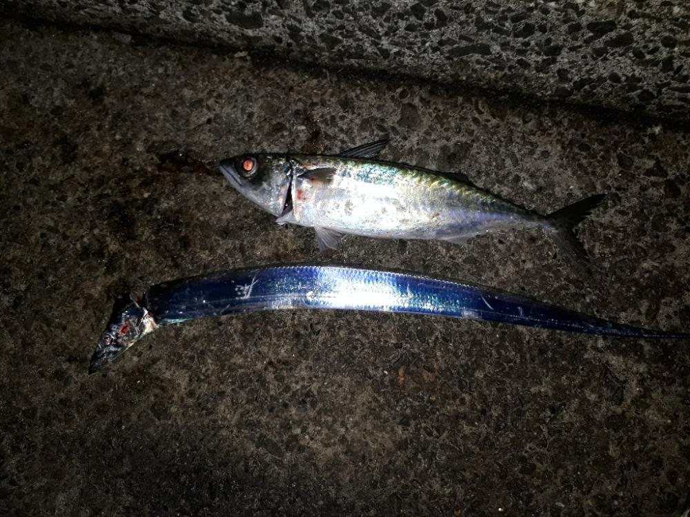 サバタチ