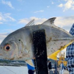 近場ライトゲーム