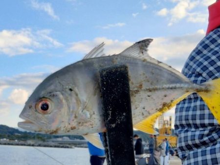 近場ライトゲーム