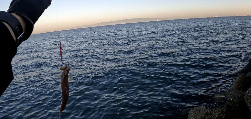 初ショアでΣ(´□｀;)