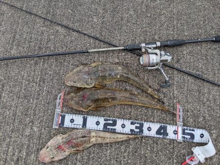 ボートキャスティング