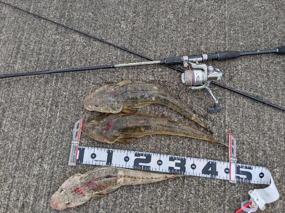 ボートキャスティング