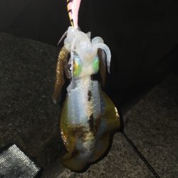 沖漬けが作りたい