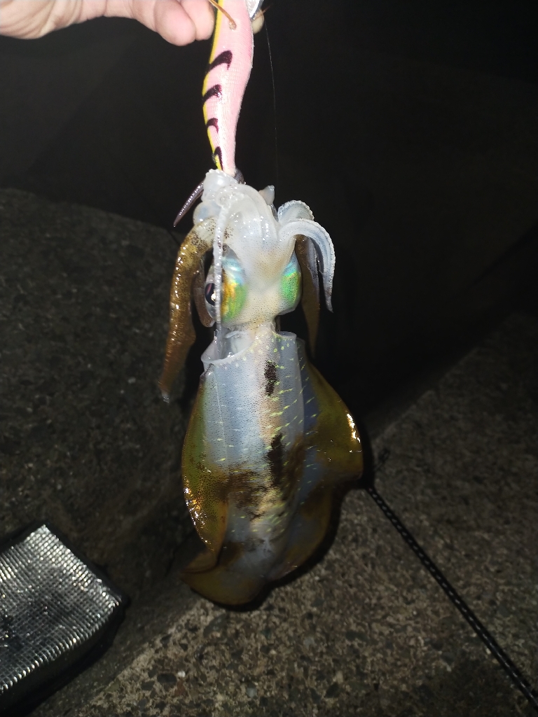 沖漬けが作りたい