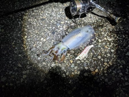 爆風の中6杯(-x-*)…