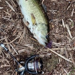 バス釣り スピニングしばり