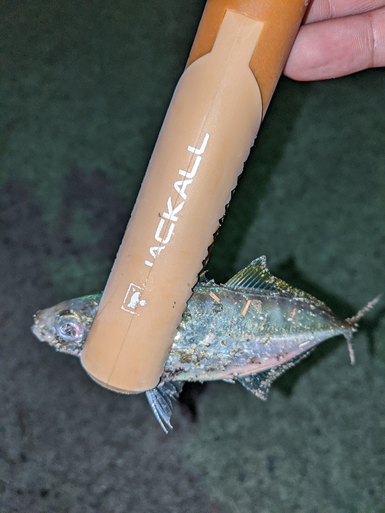 エステルラインの洗礼…