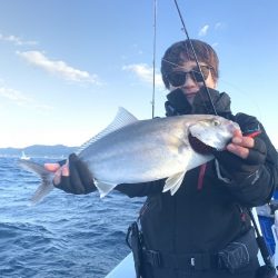 カンパチ・ロックフィッシュ