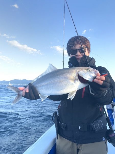 カンパチ･ロックフィッシュ