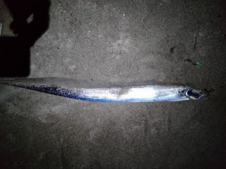 爆釣Day.でした!!