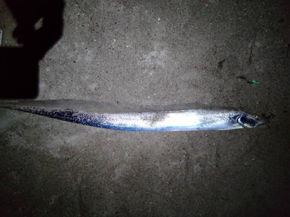 爆釣Day.でした!!