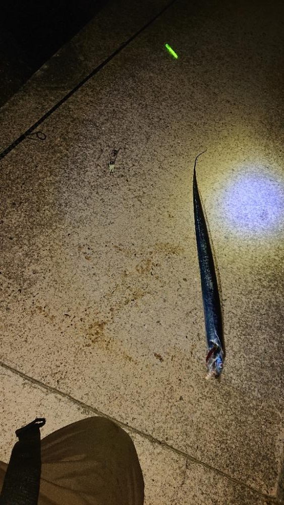 太刀魚テンヤ釣り