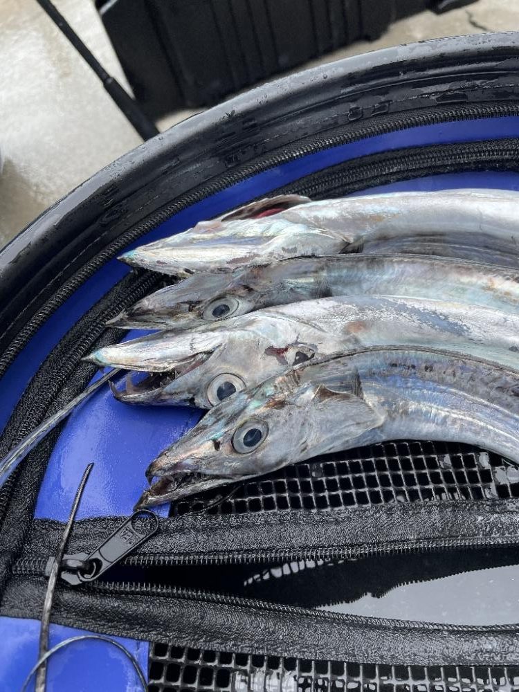 タイラバのつもりが