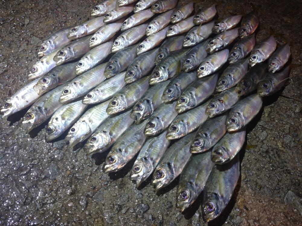 やっちまったな～😂