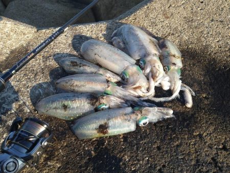 渋くはなってきましたが