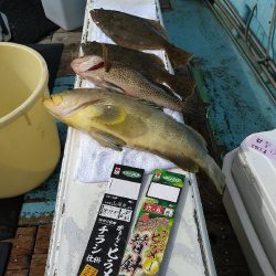 ヒラメ狙いで☆イワシ呑ませ