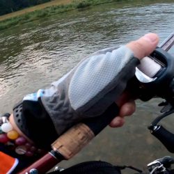 【シーバス】リバーシーバス５５㎝