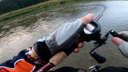 【シーバス】リバーシーバス５５㎝