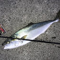 ゆうまづめの一瞬のチャンスで！