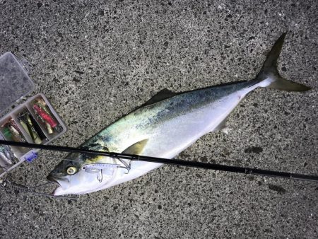 ゆうまづめの一瞬のチャンスで！