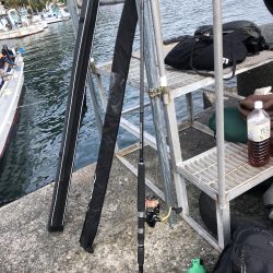 先週に引き続き釣行