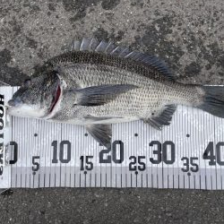 イチノ兄弟、釣果！