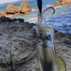 エギ!ショア!フカセ!