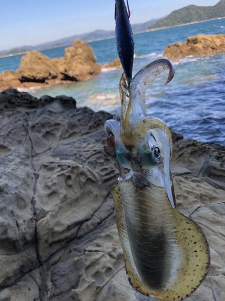 エギ!ショア!フカセ!