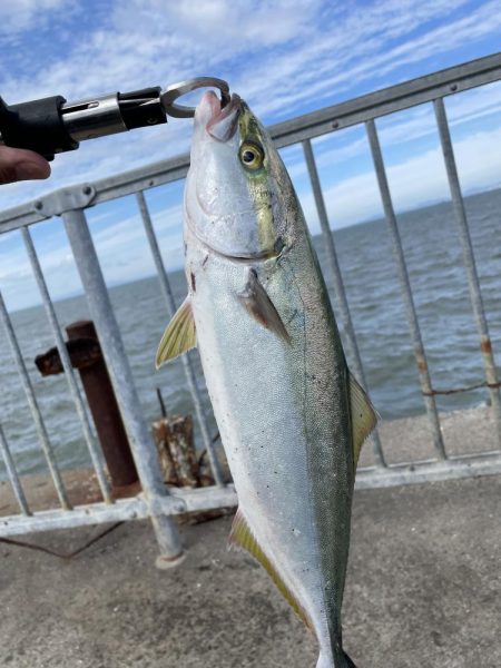 爆風の中なんとか１匹ゲット