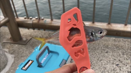 アジ釣り